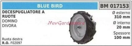 Roue Droite Blue Bird Débroussailleuse À Roues Domino Dévore 017153