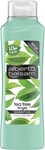 Alberto Balsam Shampoo Tea Tree Tingle 360ml