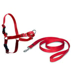 PetSafe Harnais Easy Walk avec boucle Anti-Traction et laisse de 1,8 m, promenade confortable pour vous et lui - 4 points de Réglage – Résistant, facile à mettre et enlever – Rouge, taille XL