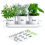 ZESTIGREENS Herb Pot Planter Set with Tray for Indoor Garden or Outdoor Use, White Metal Succulent Potted Planters for Kitchen Windowsill