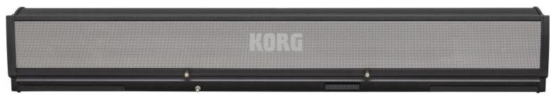 Korg PaAS MK2 - Amplification System