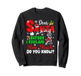 Before I Explain How Much You Know Xmas Great Dane Owner Sweatshirt