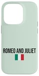 Coque pour iPhone 14 Pro Romeo and Juliet Love Illustration Novelty Graphic Designs