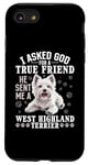 Coque pour iPhone SE (2020) / 7 / 8 Race de chien Westie West Highland White Terrier