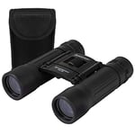 Celestron 72352 LandScout 10x25mm Water-Resistant Roof Prism Binoculars with Rubber Grip Surface, Coated Lens, K9 Optical Glass, Neck Strap and Soft Carry Case, Black