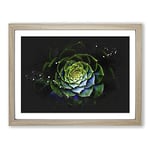 Dark Green Succulent Plant Paint Splash Modern Art Framed Wall Art Print, Ready to Hang Picture for Living Room Bedroom Home Office Décor, Oak A3 (46 x 34 cm)