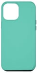 Coque pour iPhone 15 Plus Vert clair