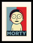 Rick and Morty - Morty Campaign - Kehystetty taidejuliste