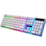 ZYDP Wired Keyboard Usb Computer Game Colorful Backlit Notebook Game Keyboard (Color : G21White)