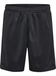 Hummel Active Pl Shorts L