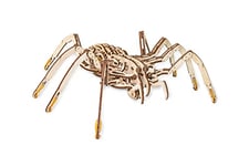 EWA Eco-Wood-Art Araignée 3D Mécanique en Bois-Puzzle pour Adultes et Adolescents-Assemblage sans colle-293 pièces, Spider, Naturel