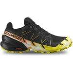 Baskets Salomon  Speedcross 6 Gore-Tex