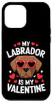 iPhone 12 Pro Max Chocolate Labrador My Valentines Hearts Day Dog Mom Dad Case