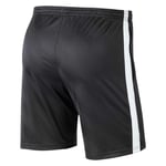 Nike Dry Academy 19 Shorts