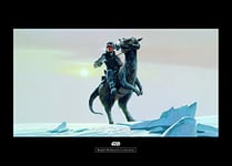 Komar Poster d'art Mural, 70cm x 50cm, Star Wars Classique RMQ Hoth Tauntaun