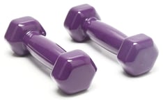 Shengluu Weights Dumbbells Sets Women Rubber Hex Dumbbell For Men And Women Hand Barbell Set For Strength Training Home Fitness Equipmen (Color : Purple, Size : 2kg)