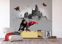 AG Design Harry Potter non-woven photo wallpaper, 300 x 270 cm, 4 pieces, ADTD4P 5096-011