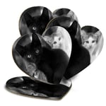 4x Heart MDF Coasters - BW - Cute Kittens Black Tabby Ginger Cat  #43908