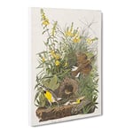 Meadow Larks By John James Audubon Vintage Canvas Wall Art Print Ready to Hang, Framed Picture for Living Room Bedroom Home Office Décor, 20x14 Inch (50x35 cm)