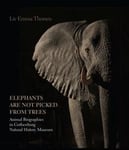 Elephants Are Not Picked from Trees