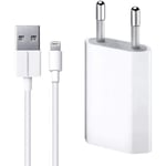 ultrapower100 Chargeur Compatible iPhone 6 Se 6S 7 8 X XS XR XS Max,1 A, 5 W, USB câble de Recharge, kit 2 en 1