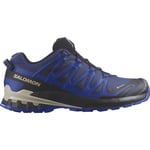 Salomon Men's XA Pro 3D V9 GORE-TEX Blue Print/Surf The Web/Lapis Blue, 42