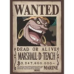 ABYSTYLE GBEye - ONE PIECE Poster Wanted Blackbeard (52x38cm)