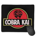 Cobra Kai Jurassic Park Customized Designs Non-Slip Rubber Base Gaming Mouse Pads for Mac,22cm×18cm， Pc, Computers. Ideal for Working Or Game