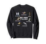 Dirty Birds Of The World Birding Bird Watching Bird Lover Sweatshirt