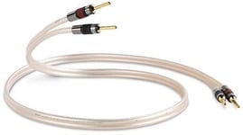 QED Reference X-Tube XT40 2Banana - 2Banana (par) - 5 m