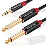 Câble Audio 3.5mm vers Double 6.35mm, 6.35 Mâle vers 3.5 Mâle Mono Y Splitter Jack Câble pour Haut-parleurs, Table de Mixage, etc. (1M)