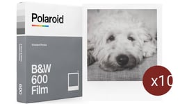 POLAROID 600 Noir et Blanc (8 Poses) (Polaroïd 600) - Lot de 10