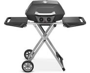 Austin and Barbeque AABQ - Superior Portable 2 Burner Gas Grill