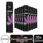 Lynx XXL Aerosol Deodorant Body Spray Excite 48H Protection 250ml, 36Pack