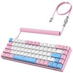 YINDIAO T8 60% Gaming Keyboard,68 Keys Compact Mini Wired Mechanical Keyboard with 18 Chroma RGB Backlit,Blue Switch,USB C Coiled Keyboard Cable,for PC,Laptop,Mac,PS4,XBOX-Pink