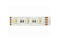 Synergy 21 Led Flex Strip 60 Rgb Dc24v Rgbw One Chip Ww