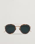 Eyevan 7285 762 Sunglasses Tortoise