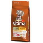 Ultima dog dry 6 kg + 1 kg / 12 kg + 2 kg / 10 kg + 2 kg / 16 kg + 2 kg - 12 kg Medium / Maxi Adult Beef