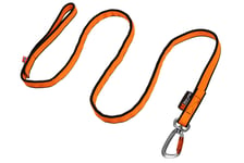 Bungee Leash - 2 m