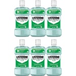 Listerine Mouthwash Multi Protect Gum Mild Mint 500ml x 6