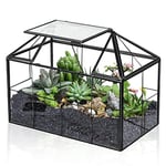 Ferrisland Terrarium en Verre pour Plantes Grasses - Grand Pot géométrique avec Rebord pour fougère succulente - Plante aérienne - Cadeau de Bricolage - Serre Miniature - Conteneur de Cartes de