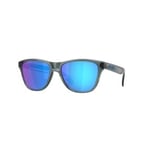 Oakley Frogskins S - Sapphire Polarized OO9508-0553