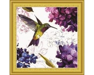 Timanttimaalaus 30x30 cm. "Hummingbird"