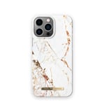 Printed Case iPhone 12PM/13PM Carrara Gold