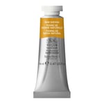 Winsor & Newton 14 ml Tube Professional Water Colour Paint, Raw Sienna