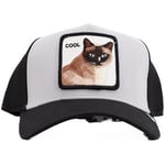 Casquette Goorin Bros  COOL CAT