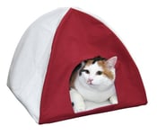 Kattigloo Tipi