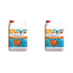 BSI - pH Moins - Liquide - Diminue et stabilise Le pH - Piscine - 5L (Lot de 2)