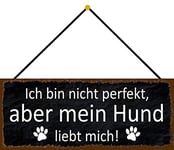 Schatzmix Plaque Murale en métal pour Chien Non Parfait 27 x 10 cm avec Cordon Multicolore 27 x 10 cm