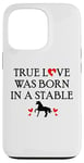 iPhone 13 Pro Barn Horse Design Horse Girls True Love Was Born in a Stable Case